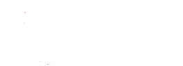 DPD White Logo